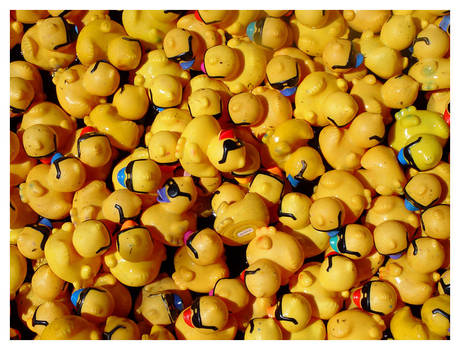 Rubber Duckies