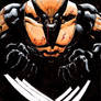 Wolverine color sketch