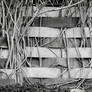 Day 13 - Weave