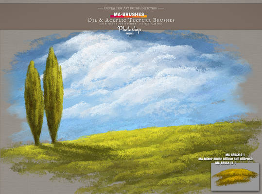 Painterly Aproach Style Brushes for Photoshop - MA