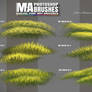 Photoshop Foliage / Grass / Tree / Leave Brushes