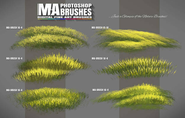 Photoshop Foliage / Grass / Tree / Leave Brushes