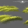 Concept Art Brushes Tree / Grass / Foliage Pack