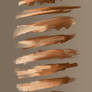 Photoshop Painting Brushes Oil Texture Brush PACK