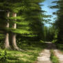 Dark Forest - Digital Landscape Painting