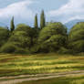 Late Summer Landscape Painting