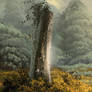 Tree trunk in landscape
