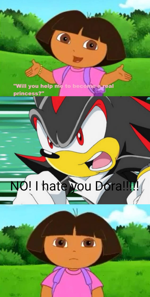 Shadow Says No To Dora by xXBarttheBunnyxX on DeviantArt