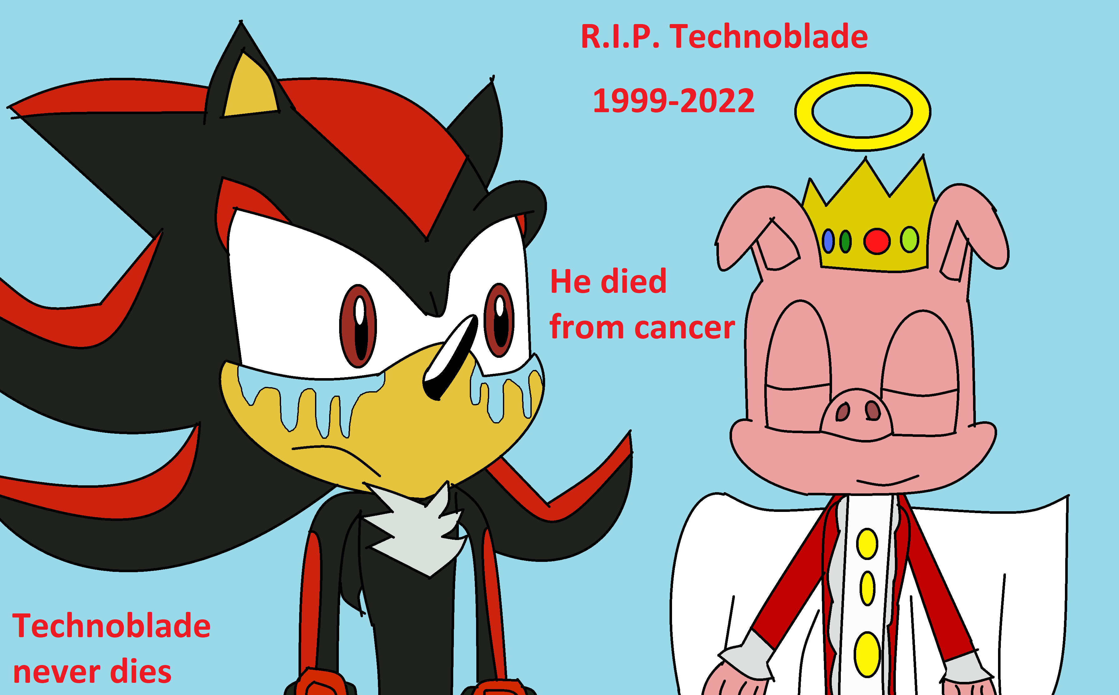 I just watched the Technoblade never dies  video. Have some art : r/ Technoblade