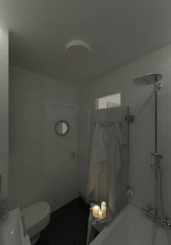 bathroom visualization