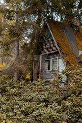 A Cabin in the woods