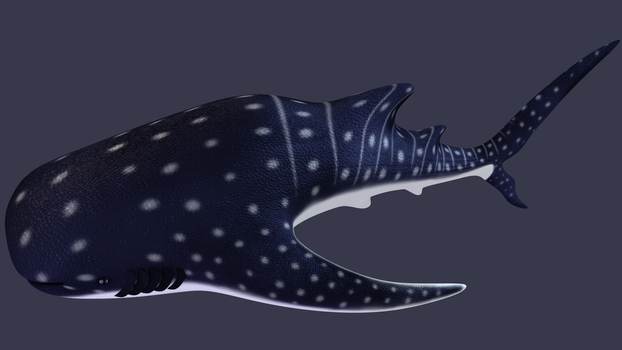 Whaleshark