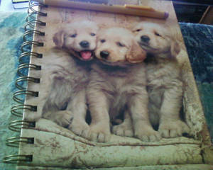 My New Notebook