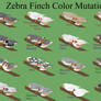 Zebra Finch Color Chart