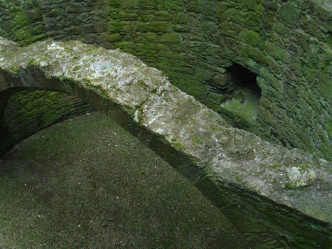 Beaumaris - Ruined Tower Interior 1
