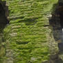 Beaumaris Castle Wall Detail 1