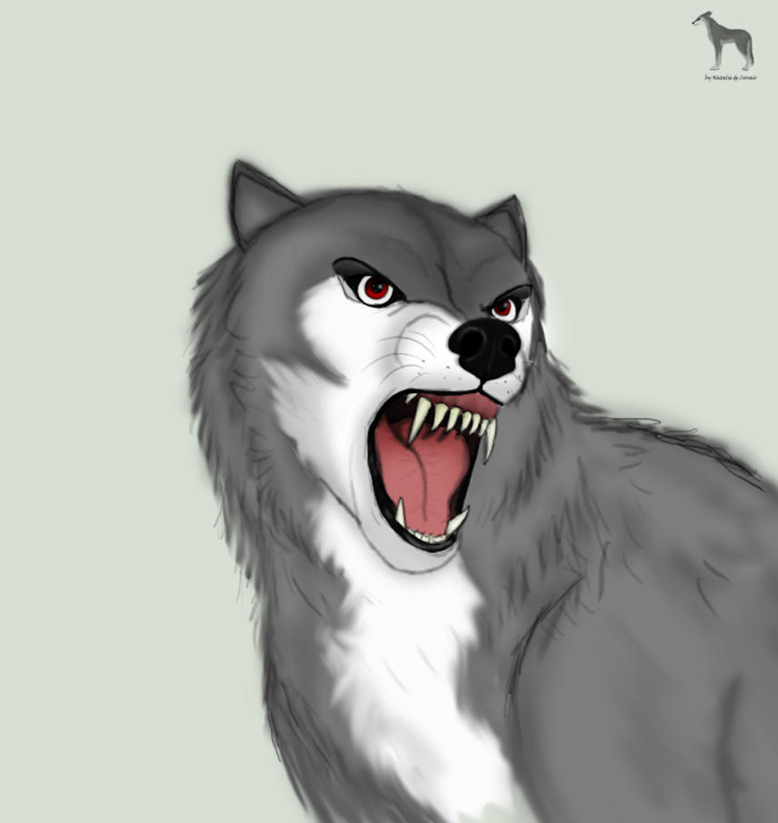 Angry werewolf by NatalieDeCorsair on DeviantArt