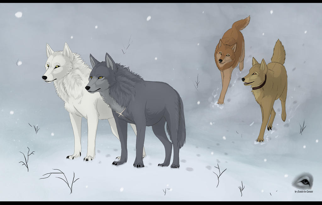 Wolf's Rain by NatalieDeCorsair on DeviantArt