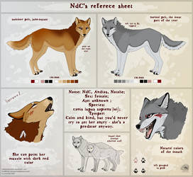 NdC reference sheet THE GREY ONE