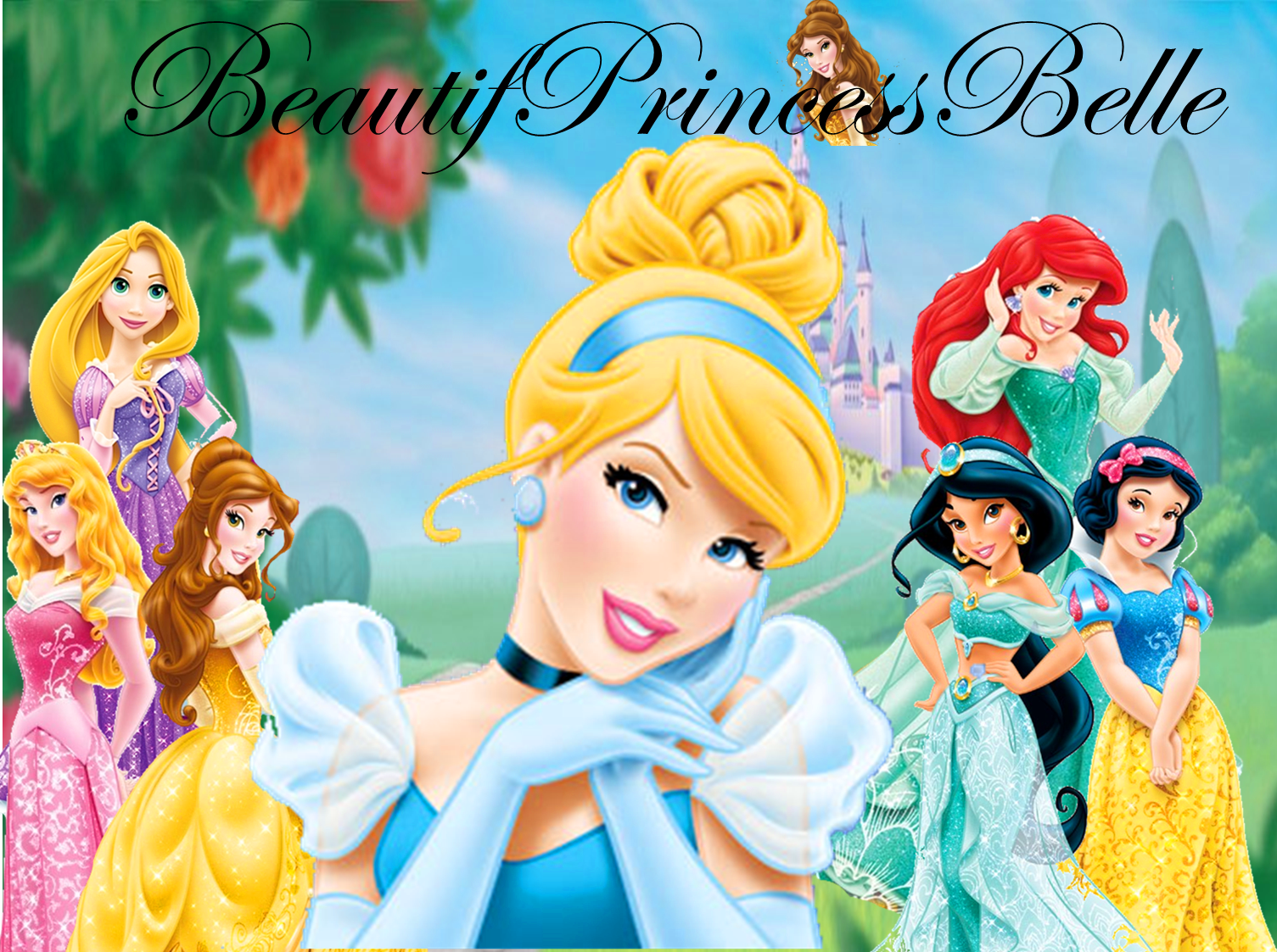 Disney Princess - 2013 New Look Beauty by BeautifPrincessBelle on DeviantArt