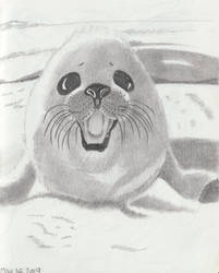 Seal