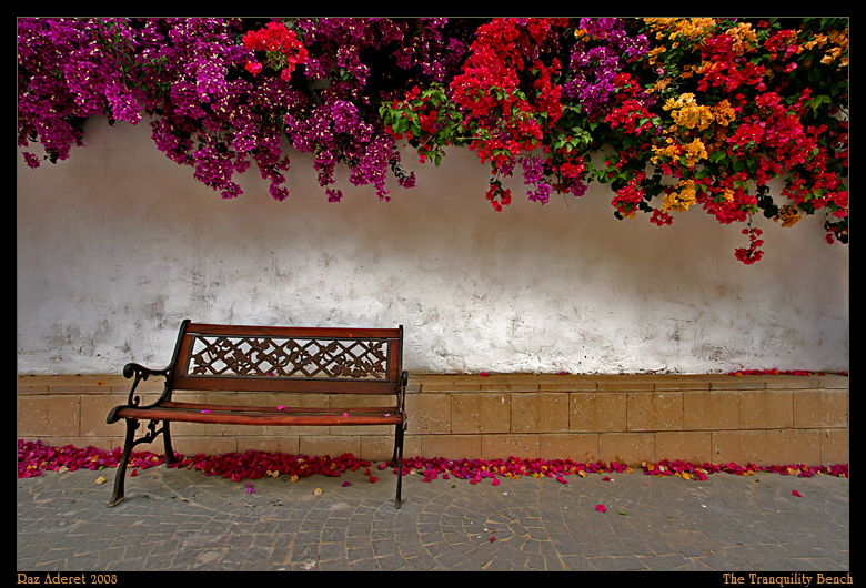 The Tranquility Bench