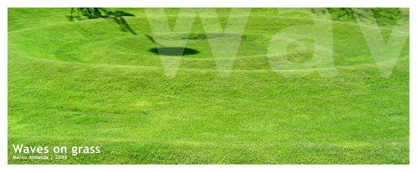 Waves on grass