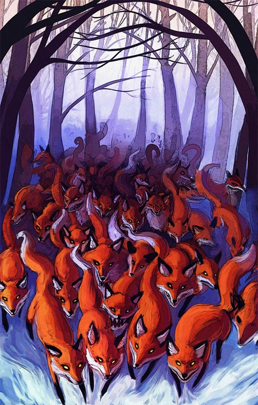 foxes