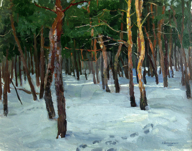 Winter forest