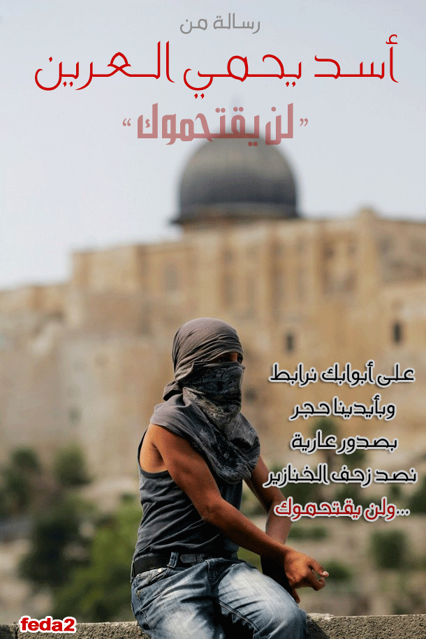 lion brotect aqsa