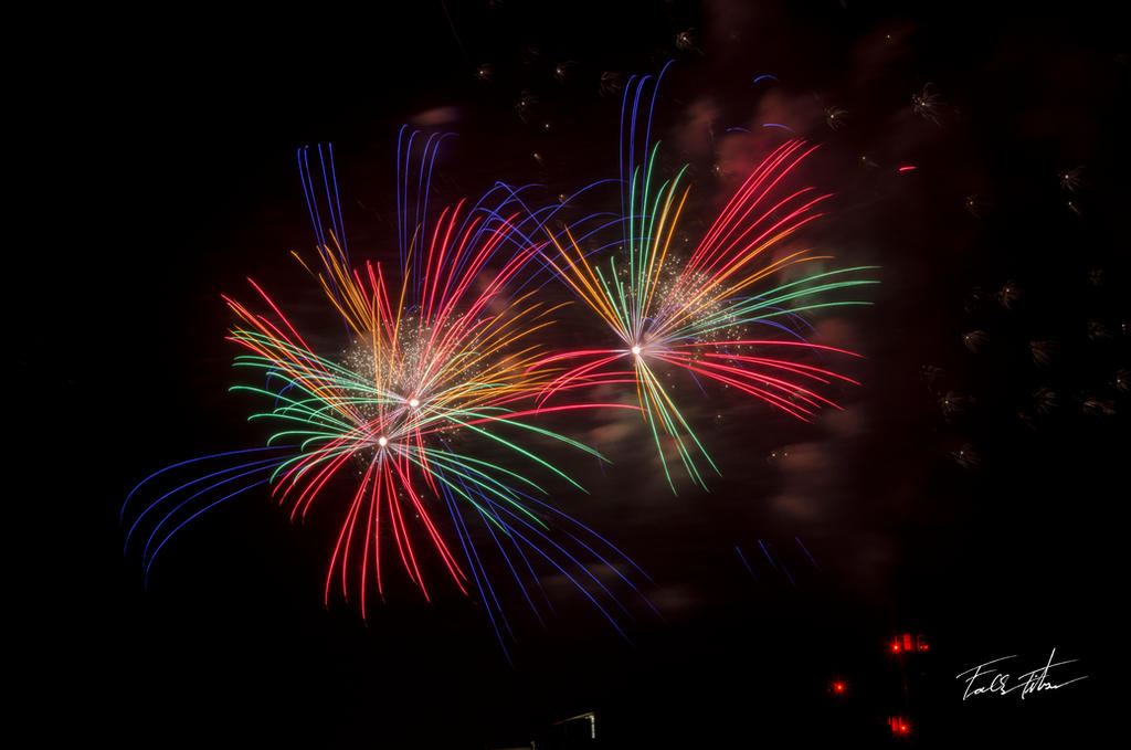 Raven Firework Firework - Feuerwerk Ravensburg Rutenfest by FreethinkerF on DeviantArt