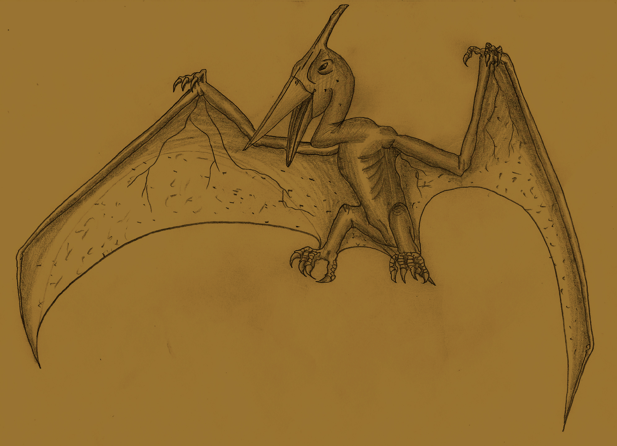 Ikrandraco < Pterodactyloidea.  Prehistoric animals, Prehistoric  creatures, Prehistoric art