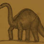 Brontosaurus summerleensis