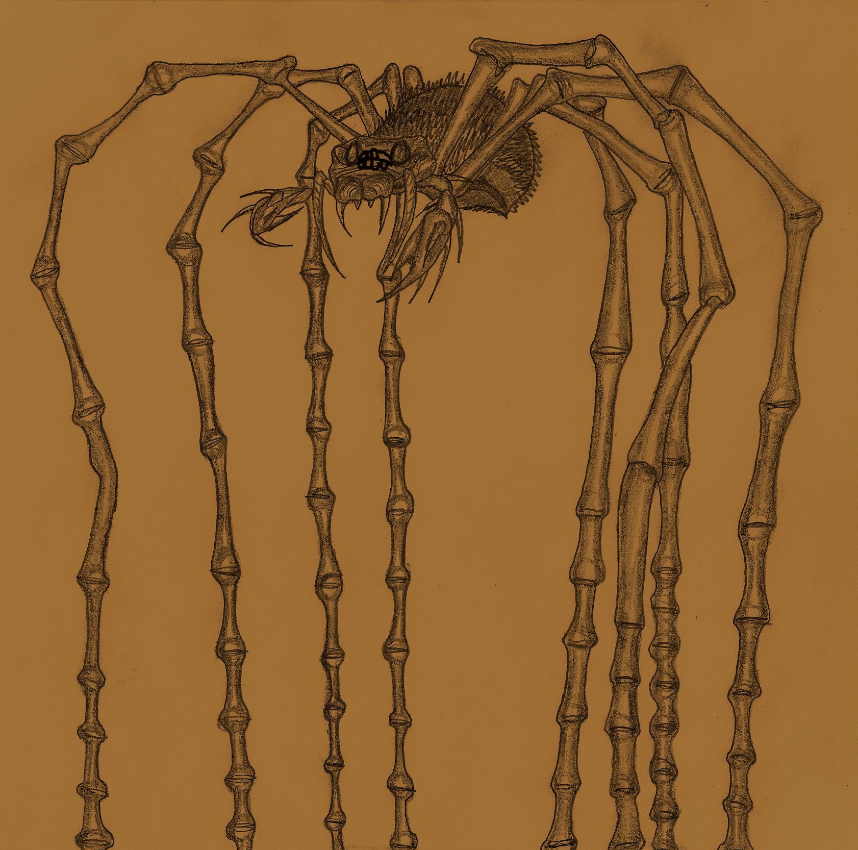 Mother Longlegs  Wikizilla, the kaiju encyclopedia