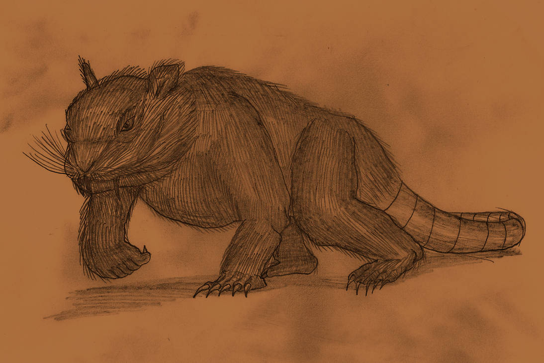 Rattus horridus by Adiraiju on DeviantArt