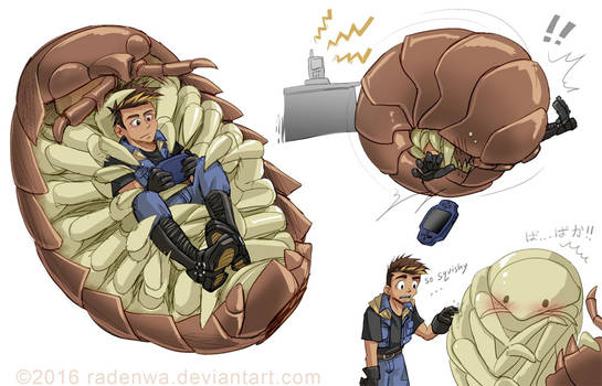 Mr Roly Poly Explore the Best Rolypoly Art | DeviantArt