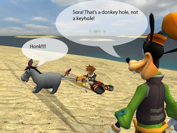 Wrong Hole Sora