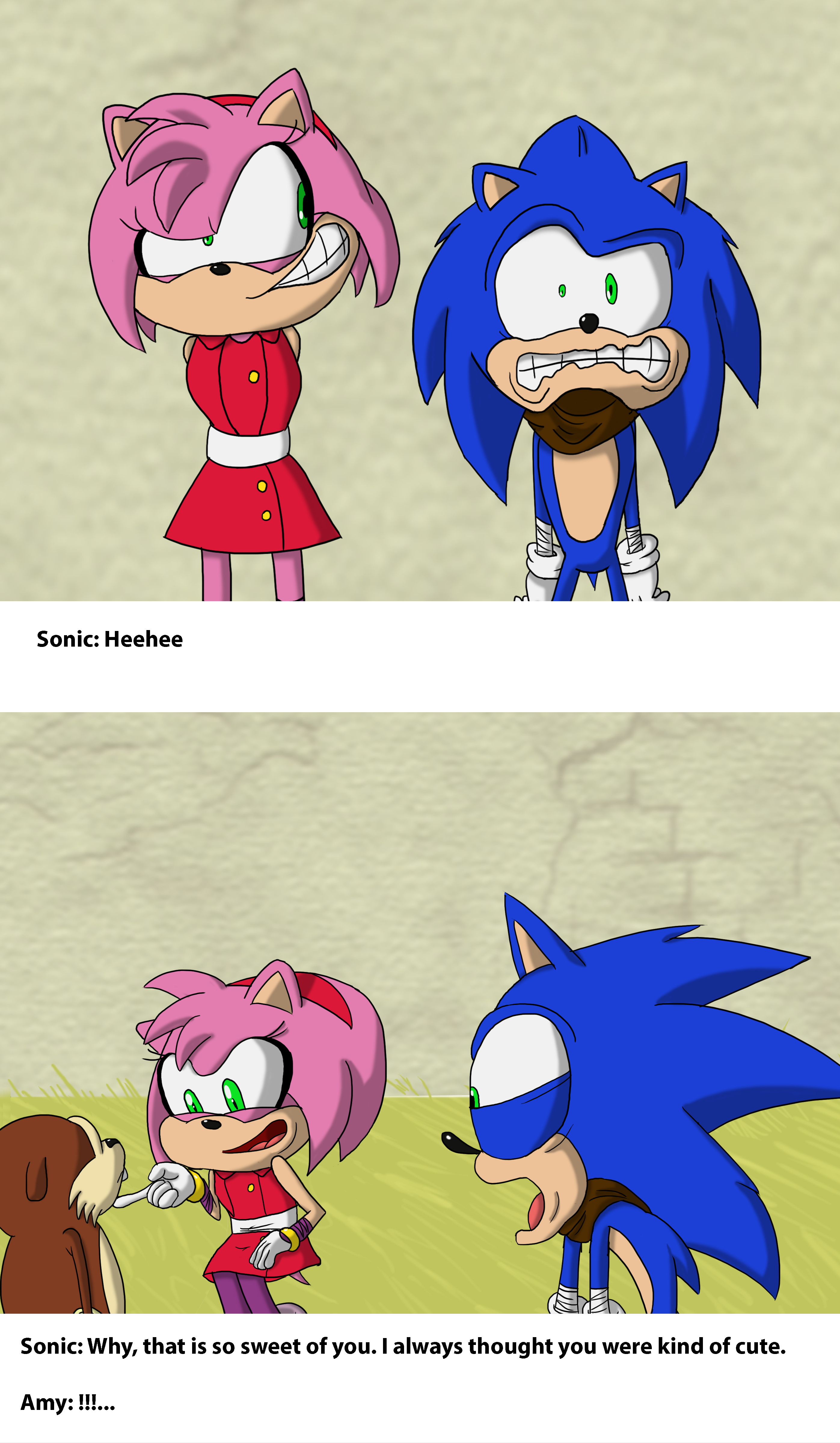 Ask the Characters #2: Sonic and Amy by Okida on DeviantArt