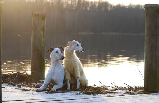 My girls posing...