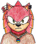 Contest Entry by CyborgHedgehog