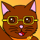 Cat Me Avatar