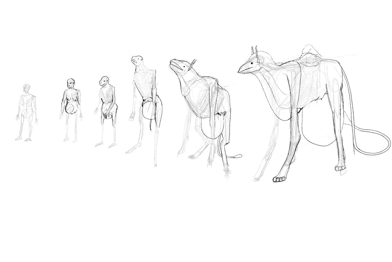 Deviantart Simplification Tf Tf Sequence by snolls on DeviantArt