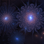 Fractal Wallpaper LXIII:Nightflowers