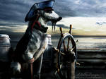 Dogg, the pirate by Rungue