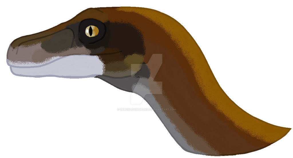 Realistic Raptor Head by DemonLovingManiac on DeviantArt