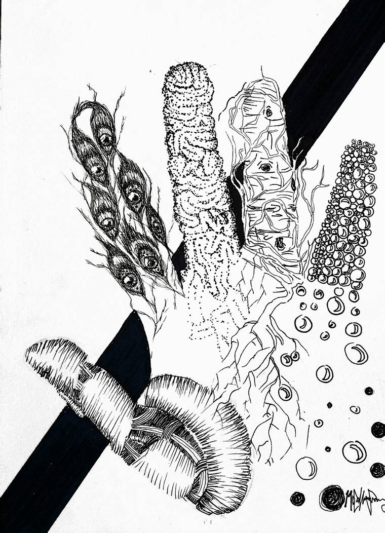 Texture Homework by RedPanda000 on DeviantArt