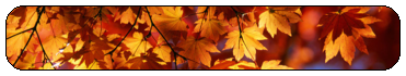 [Image: fall_divider_f2u_by_murmxrs_dbm9jyh-full...Yhk8SXSX-g]