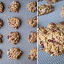 Cranberry Oatmeal Cookies
