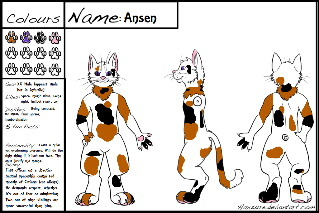 Ref Sheet: Ansen