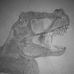 My dinosaur Drawing